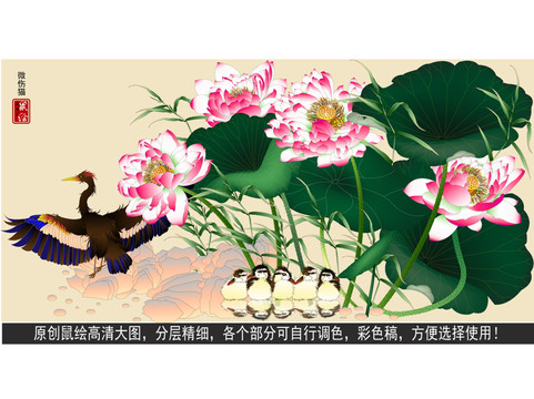 莲花朵朵
