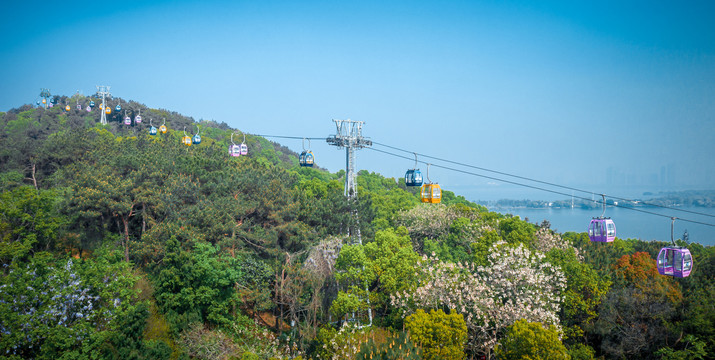 湖北武汉东湖自然风光全景照片