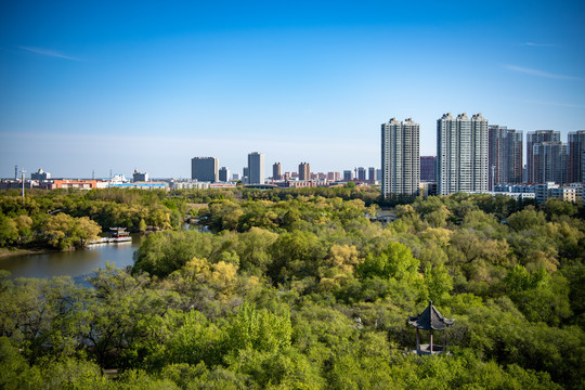 美丽城市锦上添花