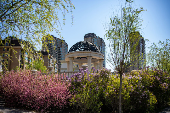 美丽城市锦上添花