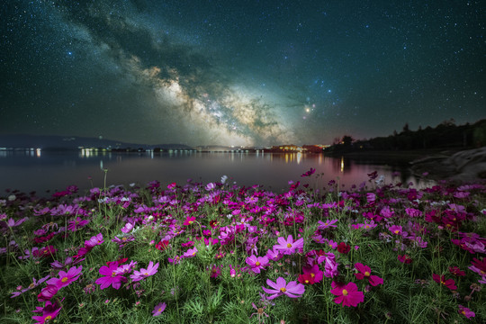 夏季格桑花银河星空