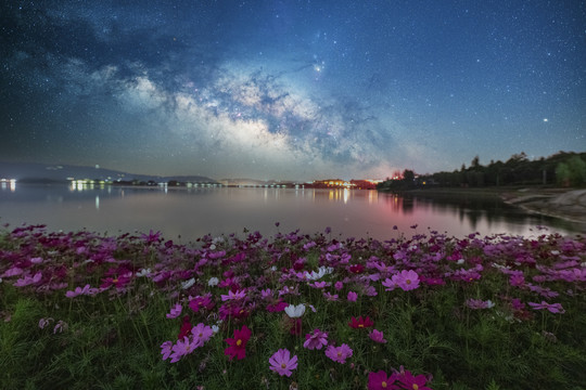 夏季格桑花银河星空