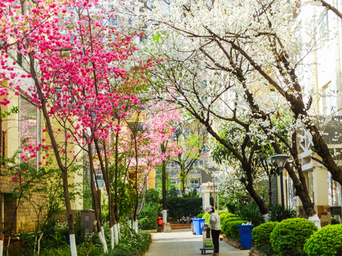 住宅春色