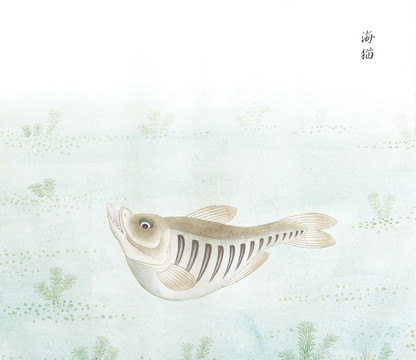 海猫国画鱼海洋生物手绘