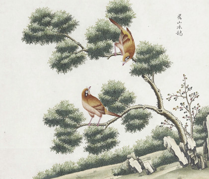花山禾鹄花鸟国画素材插画