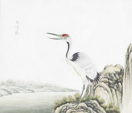 丹顶鹤花鸟国画素材插画