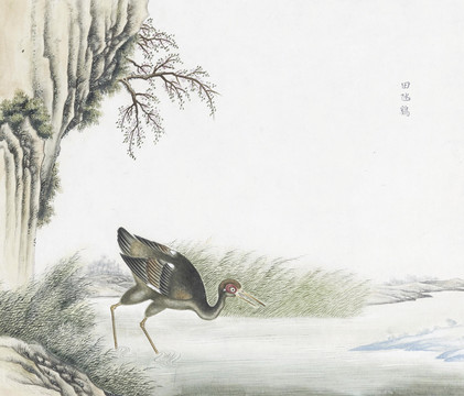 田鸡花鸟国画素材插画