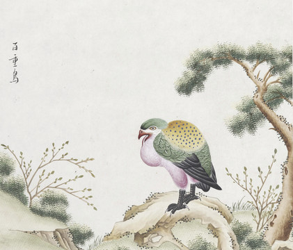 百重鸟花鸟国画素材插画