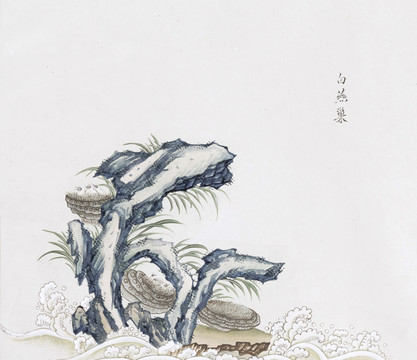 白燕巢中草药国画素材插画国画