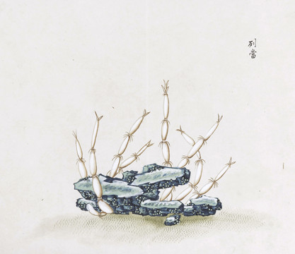 列当中草药国画素材插画