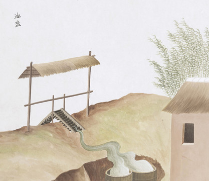 池盐中草药国画矿石插画