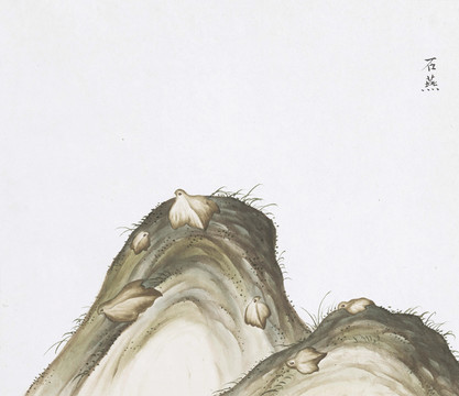 石燕中草药国画矿石插画