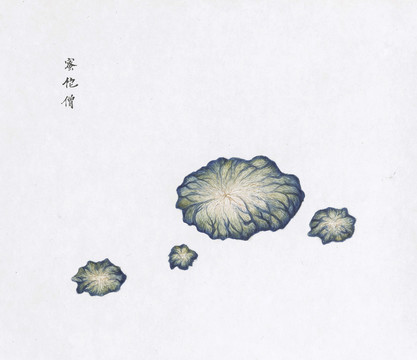 密陀僧中草药国画矿石插画
