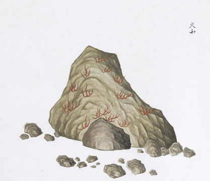 火山中草药国画矿石插画