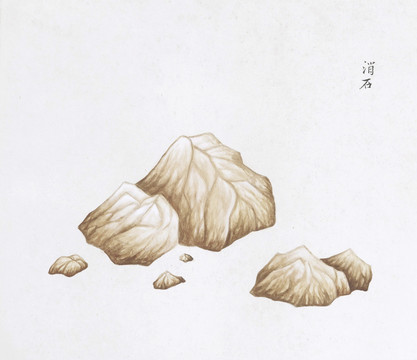 硝石中草药国画矿石插画