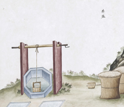 井盐中草药国画矿石插画