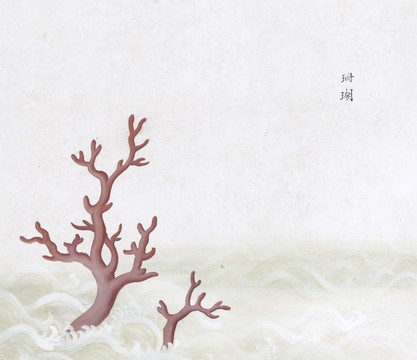 珊瑚中草药国画矿石插画