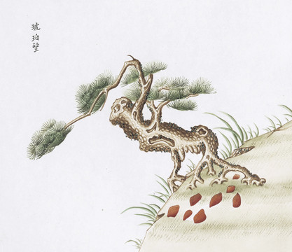 松脂中草药国画素材插画国画