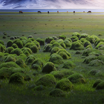 山水风景