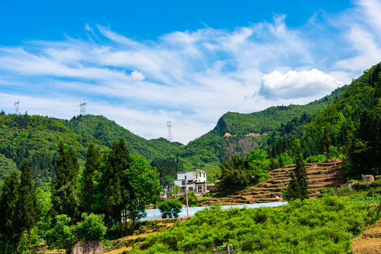 兴隆村风光