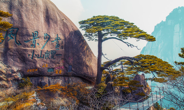 黄山迎客松