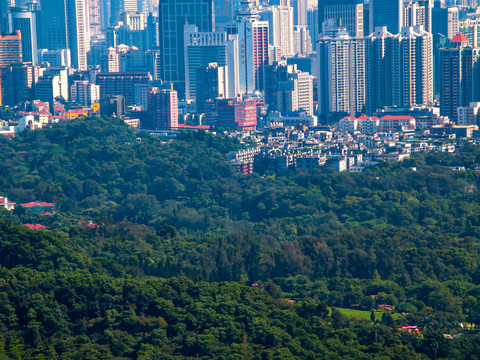 广州城市风光