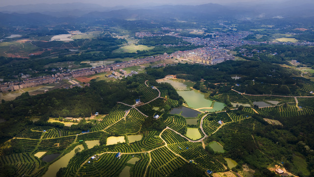 赣南脐橙发源地安西镇全景图