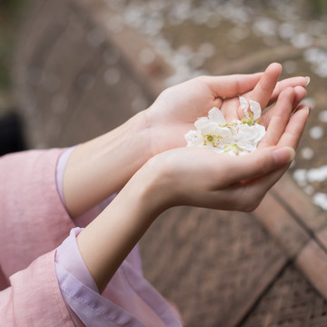 古风女玉手捧花瓣