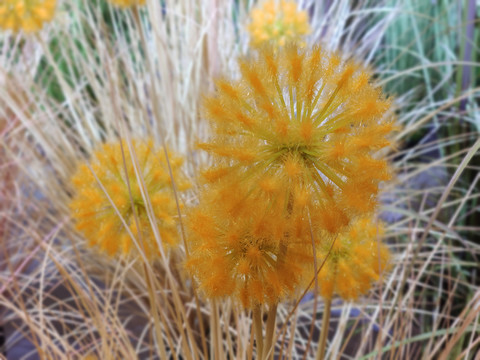 仿真花绒花绿植仿真花