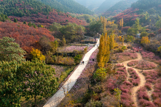 官护山