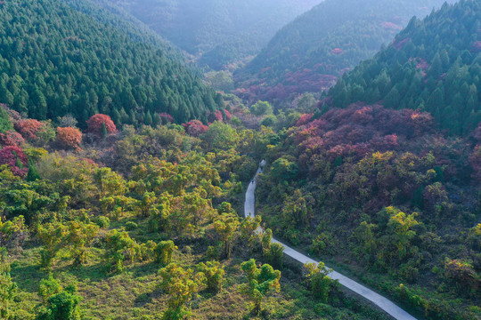 官护山