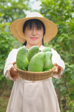 一篮金煌芒