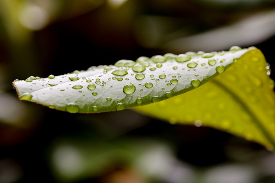 水珠素材