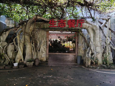 生态餐厅大门