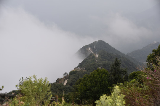 梧桐山远景