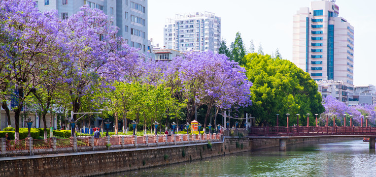 城市两岸