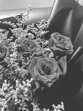 玫瑰花黑白摄影