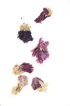 干紫罗兰花