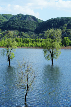 会泽湿地自然保护区