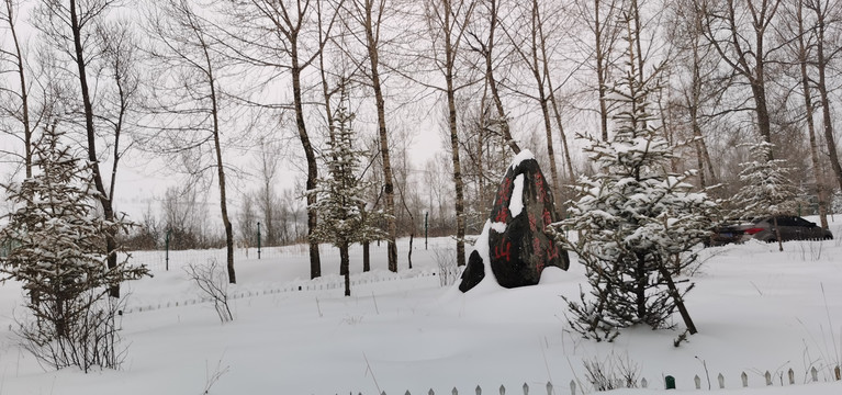 雪后树林