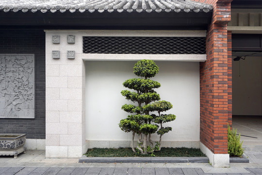 住宅庭院院墙园林绿植小景