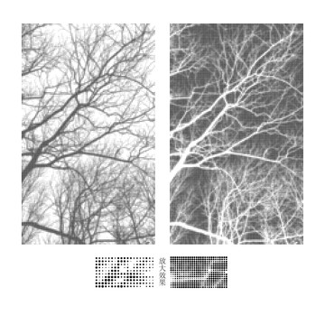 激光圆点镂空树枝图案