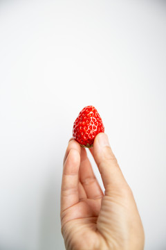 一只草莓