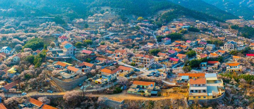 青岛崂山区解家河社区