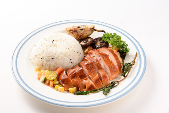 鸭肉饭鸡腿饭