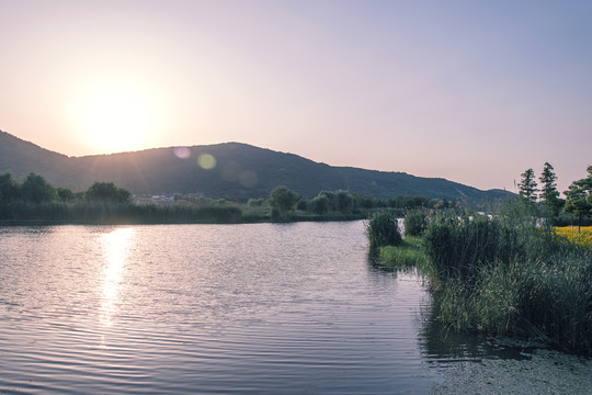 无锡太湖湿地公园