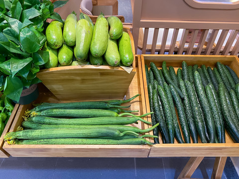绿色蔬菜西葫芦和丝瓜和黄瓜