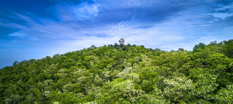 淳化爷台山