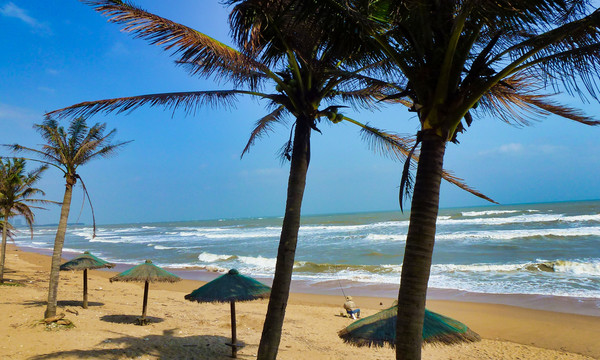 海边沙滩椰子树