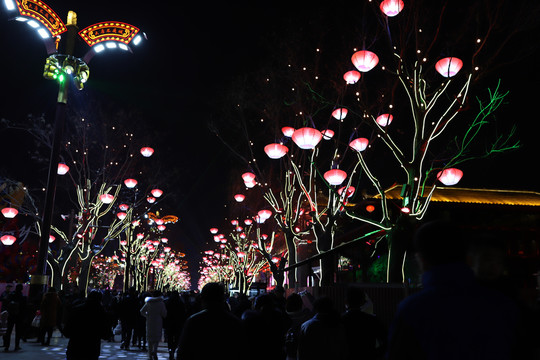 西安大雁塔北广场夜景